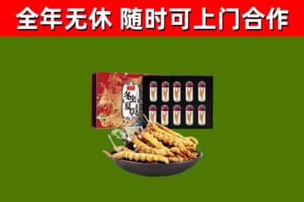 韶关回收冬虫夏草价格